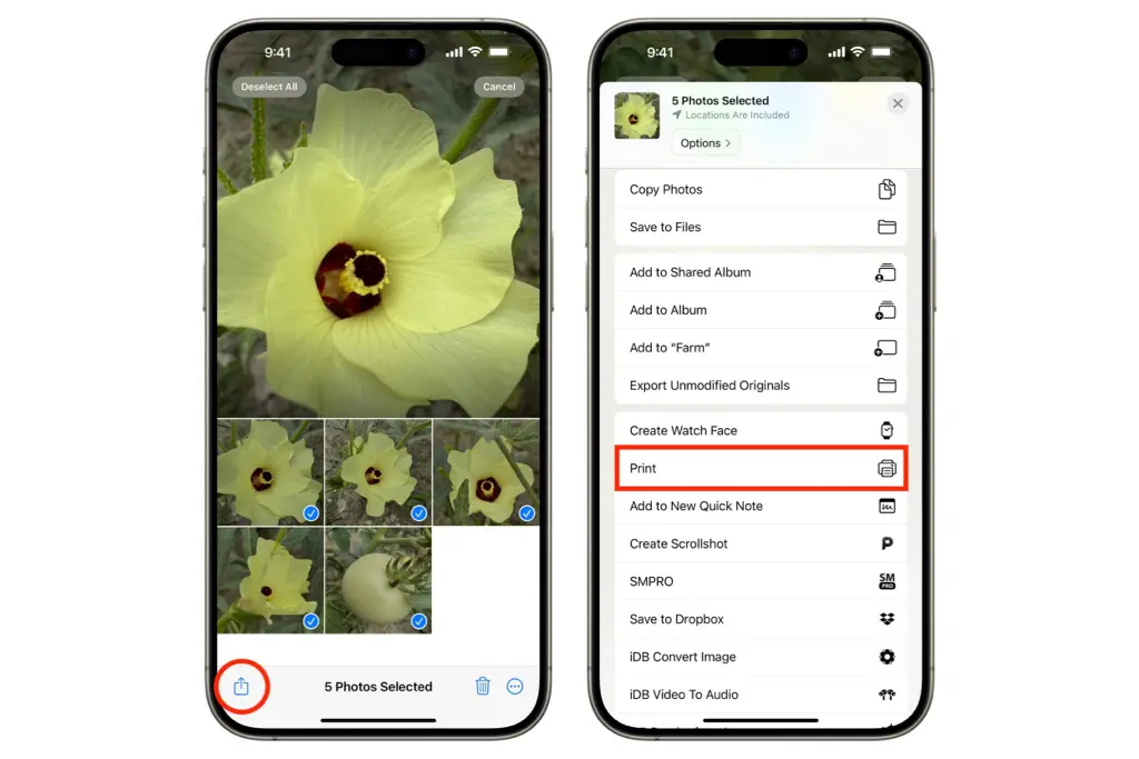تبدیل عکس به پیدیاف با برنامه Photos