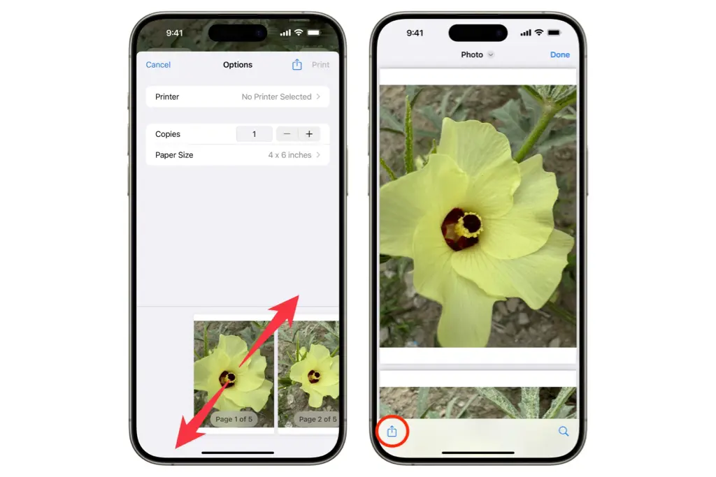 تبدیل عکس به پیدیاف با برنامه Photos
